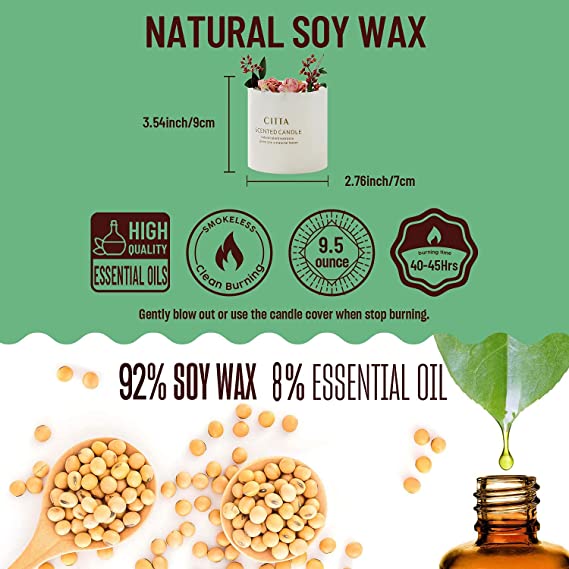 Cinnamon Orange Scented Candles