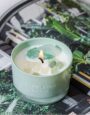 Spar Cup Matcha Green – Fruit Temptation Scented Candle