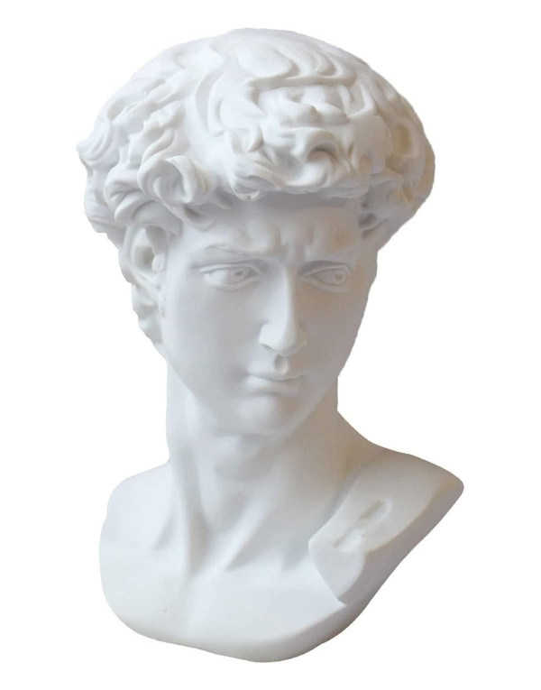 David Bust Statue Greek Artist Bust Gypsum