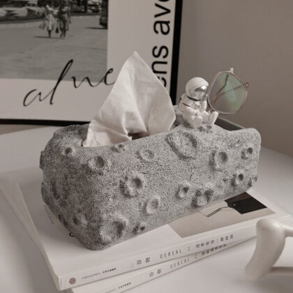 Astronaut tissue box with storage