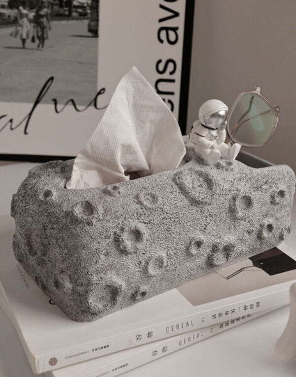 Astronaut tissue box with storage